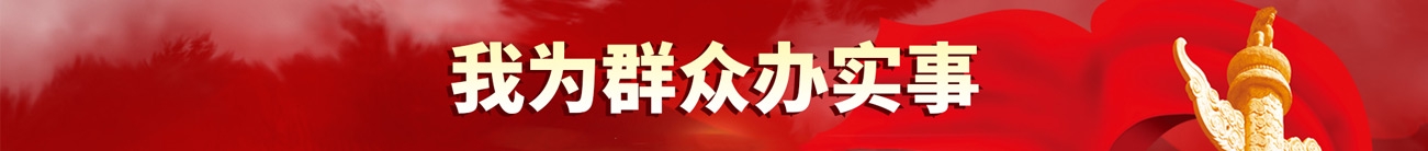 我為群眾辦實事